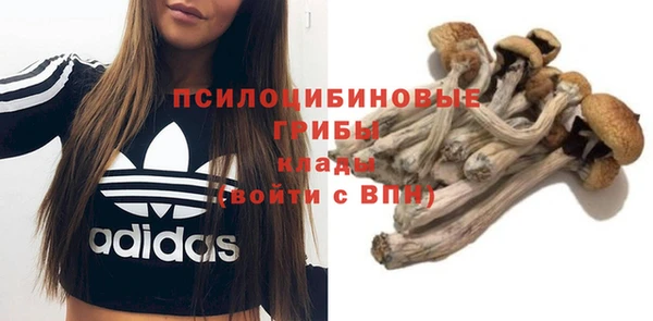 гашишное масло Бугульма