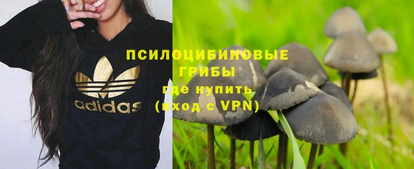 ПСИЛОЦИБИНОВЫЕ ГРИБЫ Тобольск
