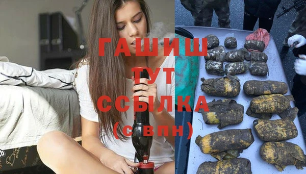 мдпв Богородицк
