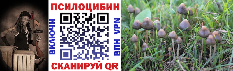 Псилоцибиновые грибы Magic Shrooms  Морозовск 